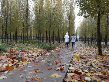 鹤壁能源化工职业学院2020河南单招试题及答案、考试内容 图3